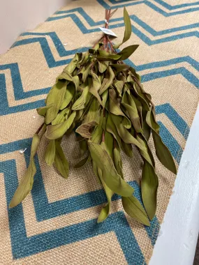 Brown and Green Leaf Stem